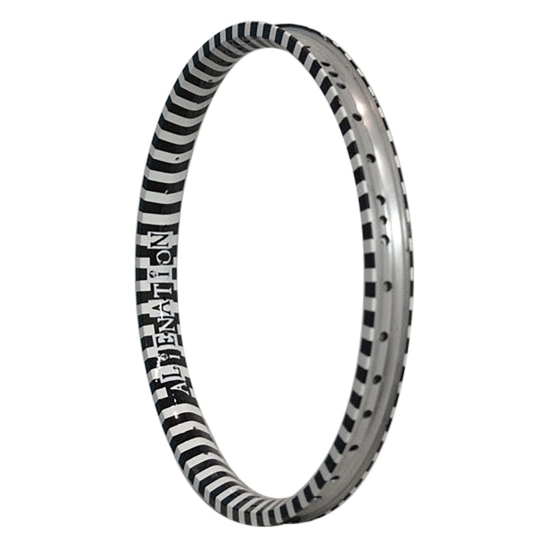 Alienation Vandal 22in 36H Rim