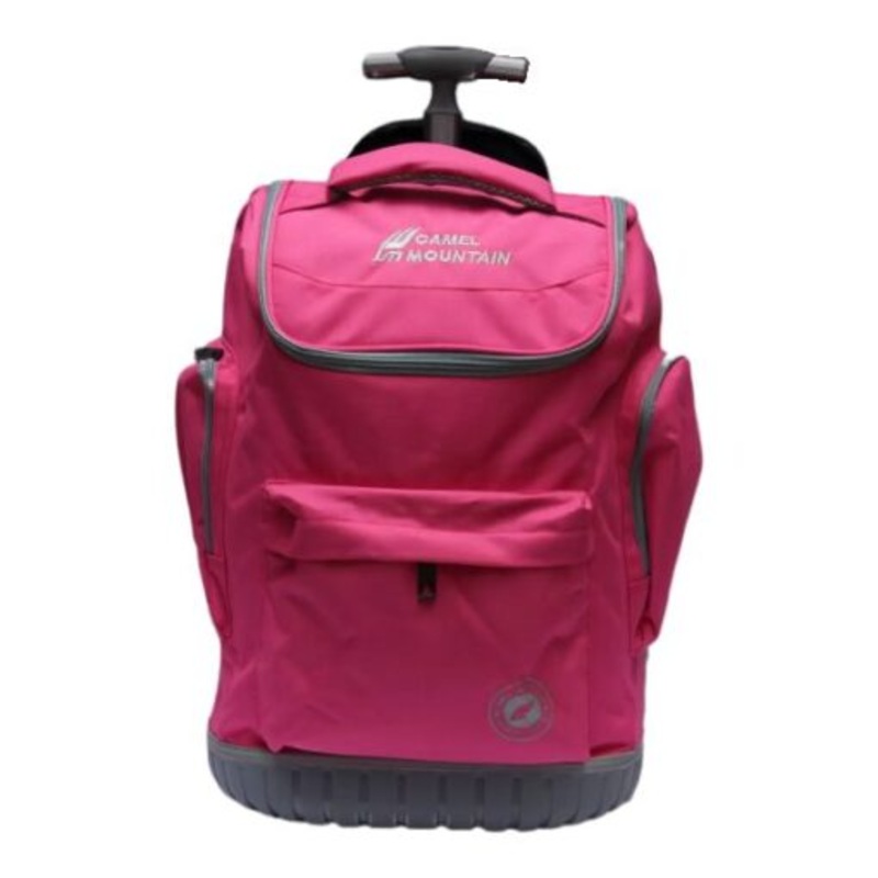 2 Wheel Trolley Backpack with Telescopic Handle and Hard Base For School  Pink