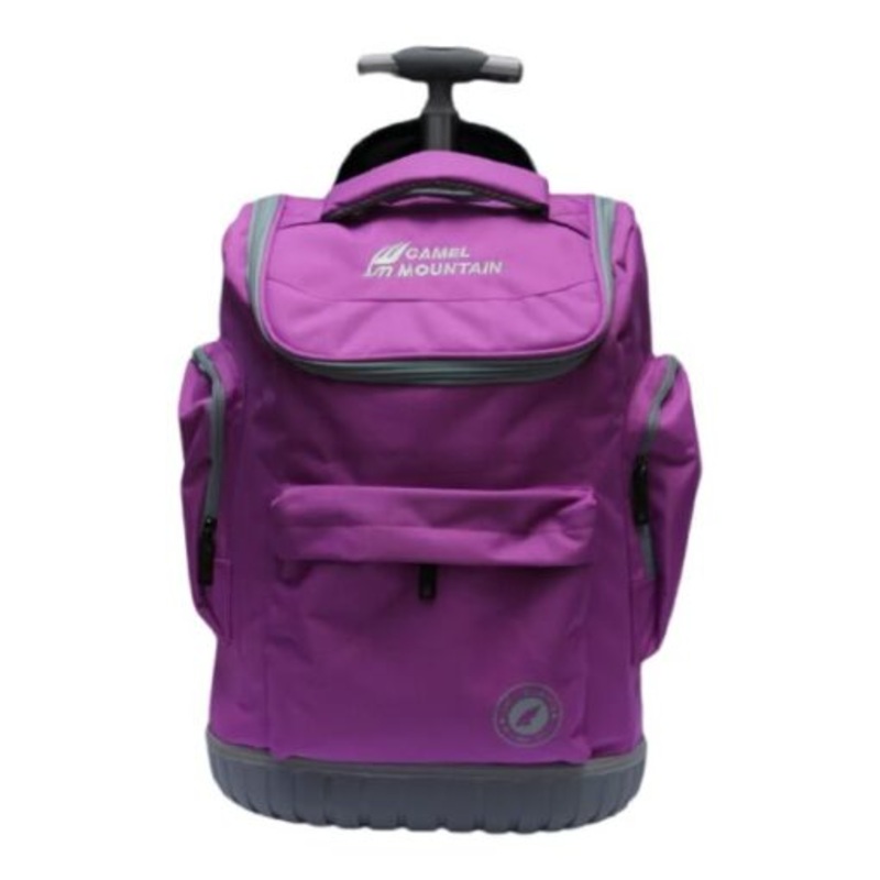2 Wheel Trolley Backpack with Telescopic Handle and Hard Base For School  Purple