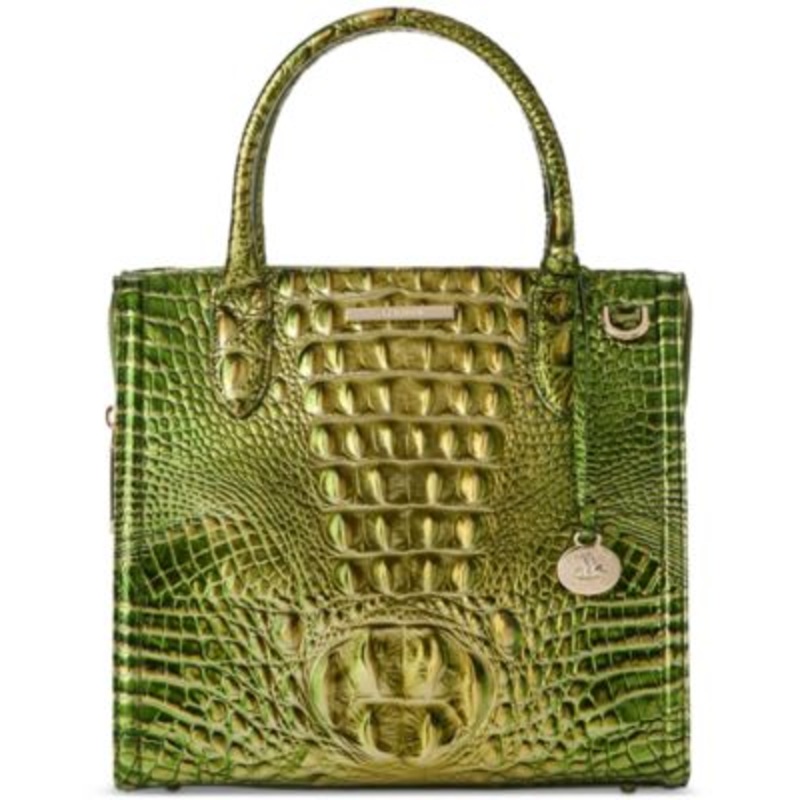 Brahmin Caroline Melbourne Small Leather Satchel – Macy’s